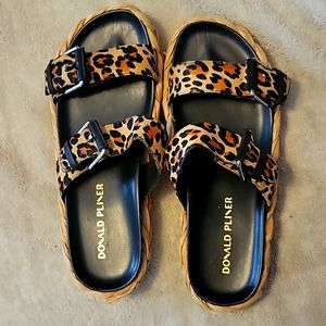 Donald Pilner slides